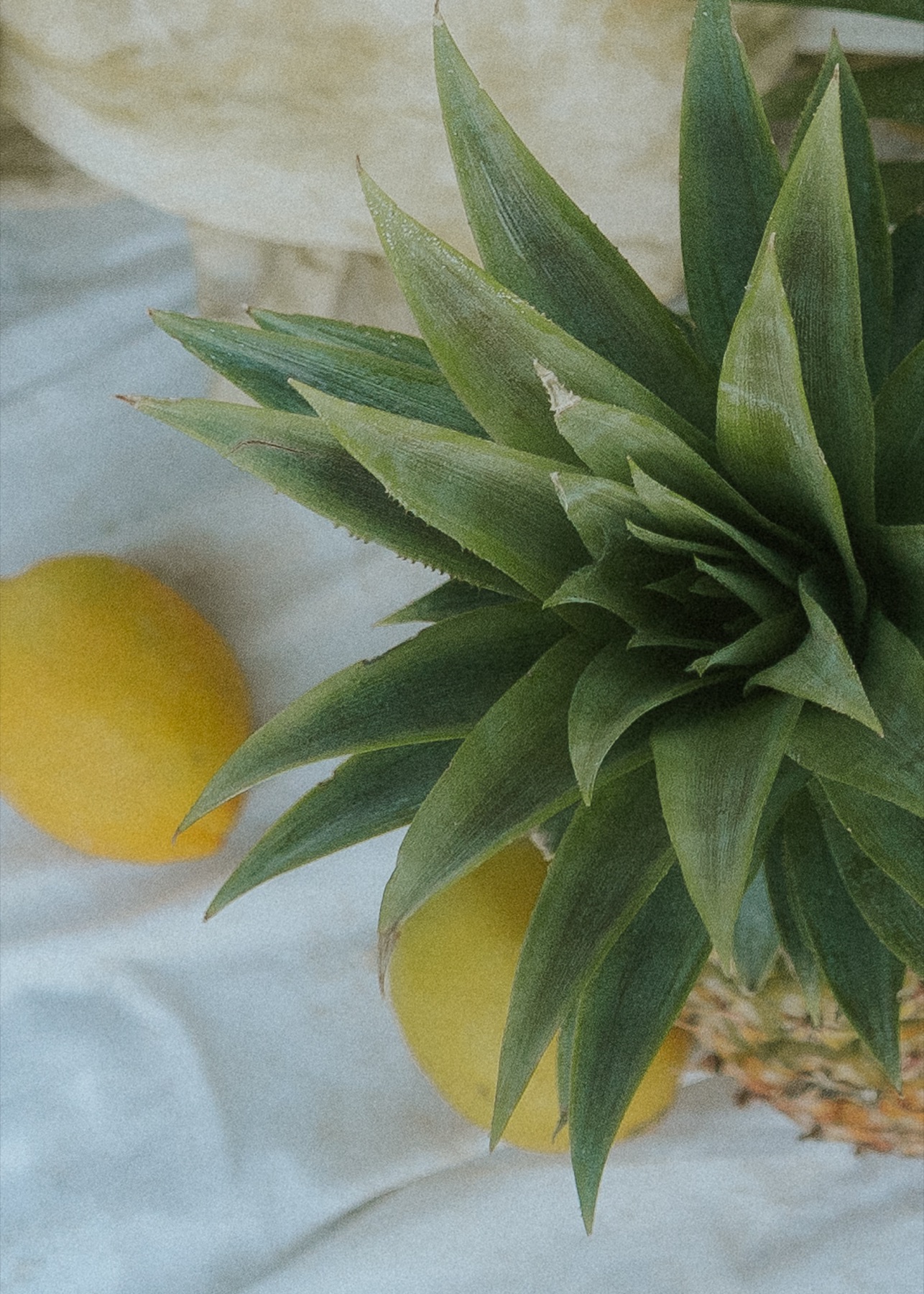 Overhead still life of a pineapple crown and lemons on white cloth beside a brass mirror.